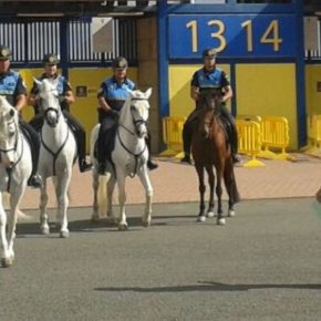 Cs insta al Ayuntamiento de Las Palmas de Gran Canaria a paralizar la creación de la Unidad Equina para la Policía Local